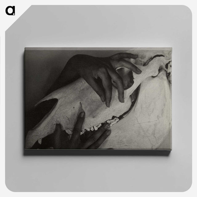 1-5_Alfred-Stieglitz_canvas