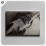 Hands and Horse Skull - アルフレッド スティーグリッツ Canvas.