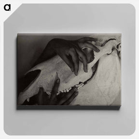 アートパネル-Hands and Horse Skull - アルフレッド スティーグリッツ Canvas.