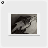 アートポストカード-Hands and Horse Skull - アルフレッド スティーグリッツ Postcard.