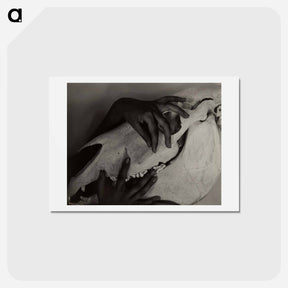 アートポストカード-Hands and Horse Skull - アルフレッド スティーグリッツ Postcard.