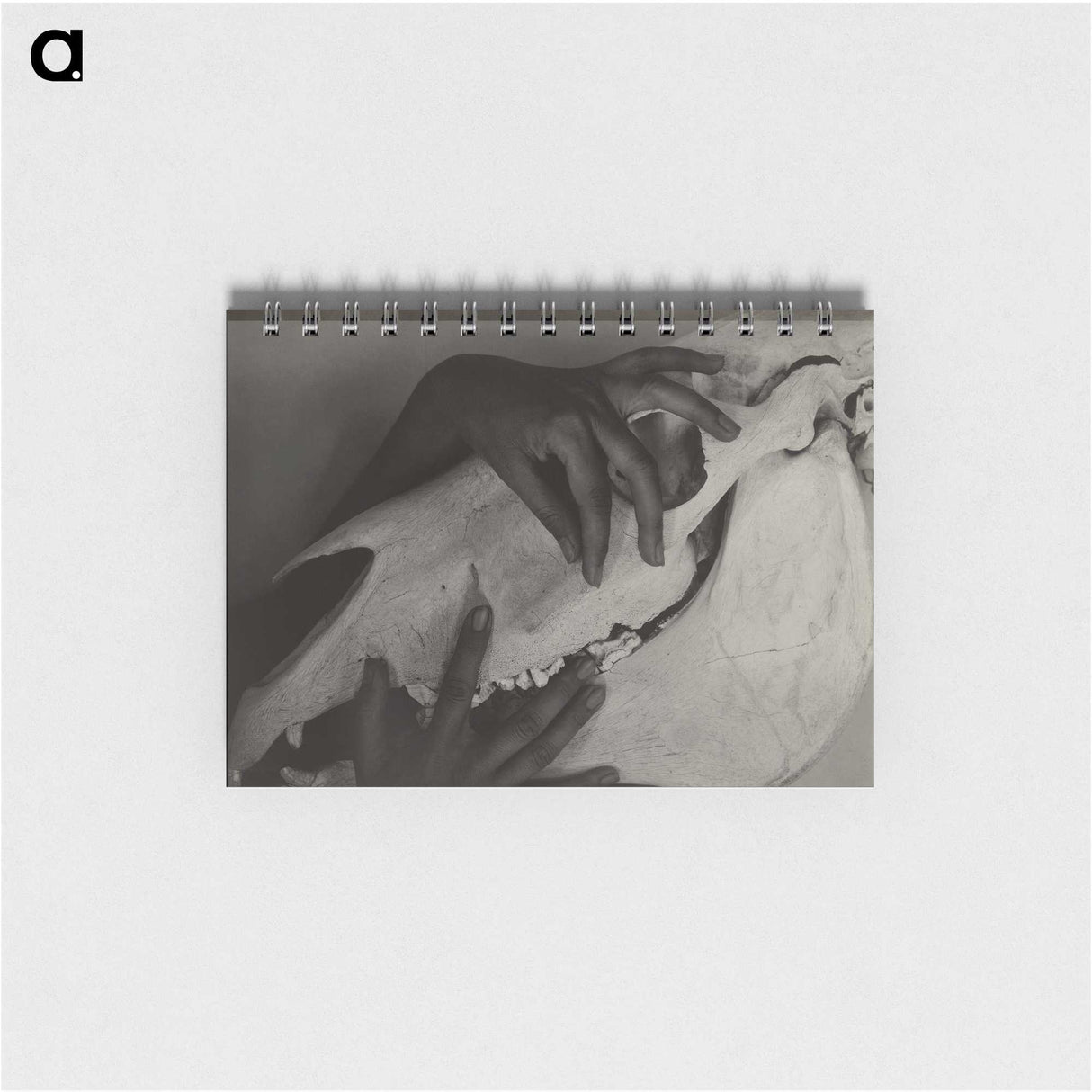 1-5_Alfred-Stieglitz_memo