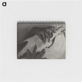 1-5_Alfred-Stieglitz_memo