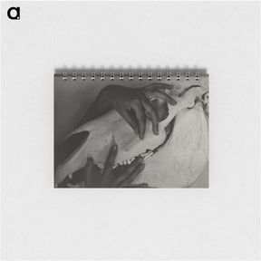 1-5_Alfred-Stieglitz_memo