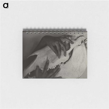1-5_Alfred-Stieglitz_memo