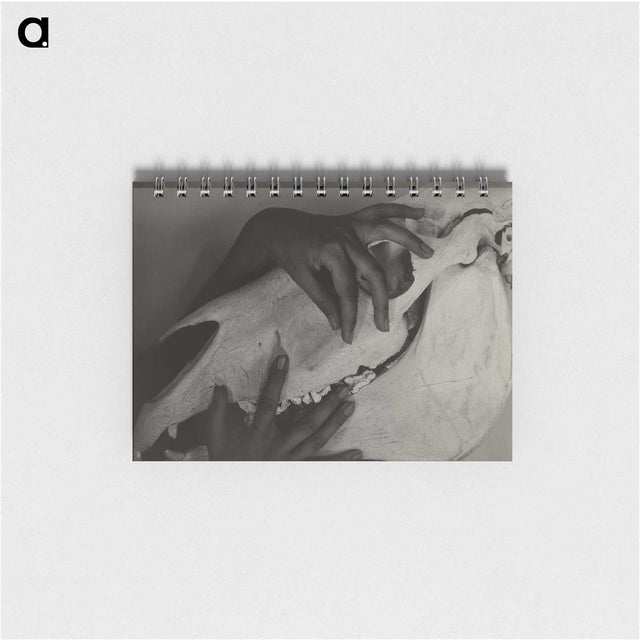 1-5_Alfred-Stieglitz_memo