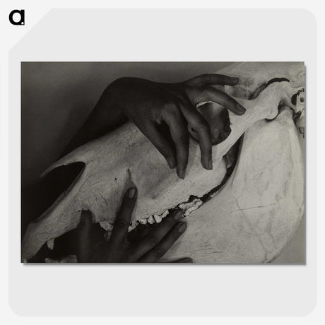 1-5_Alfred-Stieglitz_picture-crop