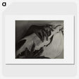 1-5_Alfred-Stieglitz_picture