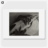 1-5_Alfred-Stieglitz_picture