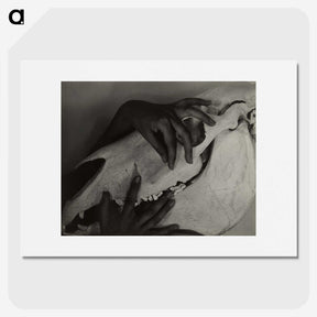 1-5_Alfred-Stieglitz_picture