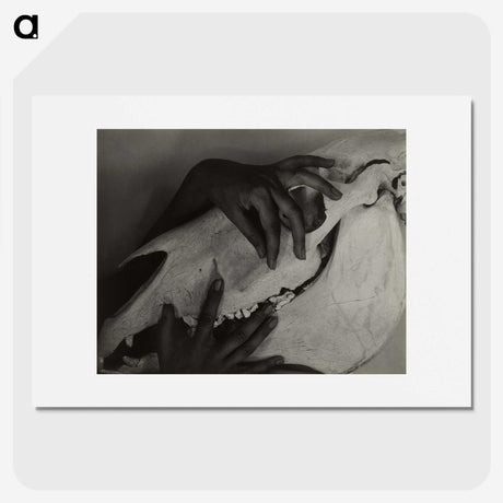 1-5_Alfred-Stieglitz_picture