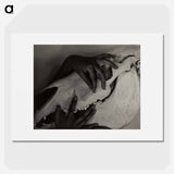 Hands and Horse Skull - アルフレッド スティーグリッツ Poster.