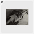 1-5_Alfred-Stieglitz_postcard