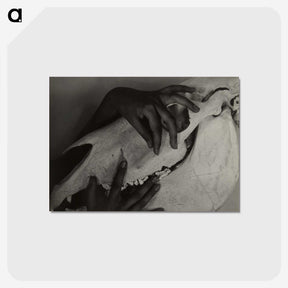 1-5_Alfred-Stieglitz_postcard