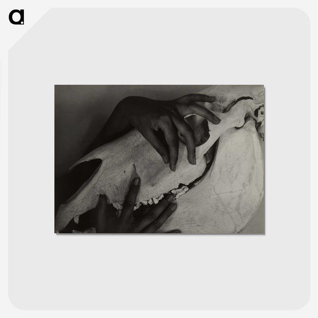 1-5_Alfred-Stieglitz_postcard