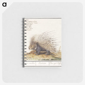 1-5_Anselmus-Boetius-de-Boodt_memo