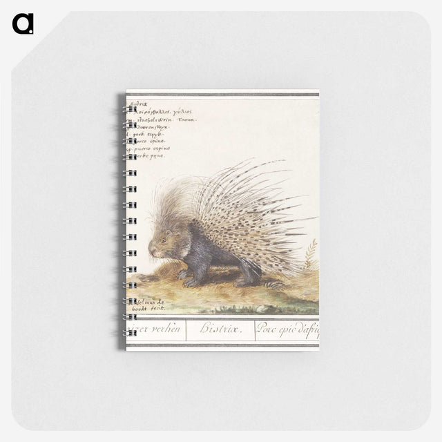 1-5_Anselmus-Boetius-de-Boodt_memo