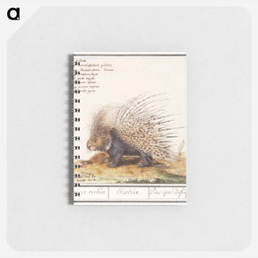アートメモ帳-Crested Porcupine - アンセルムス ボエティウス デ ブート Memo.
