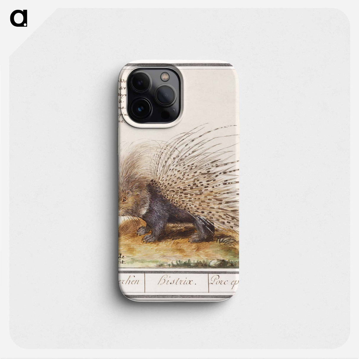 Crested Porcupine - アンセルムス ボエティウス デ ブート Phone Case.