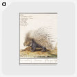 1-5_Anselmus-Boetius-de-Boodt_postcard