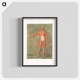 This fascinating collection of anatomical illustrations - アルノルド エロイ ゴーティエ ダゴティ Poster.