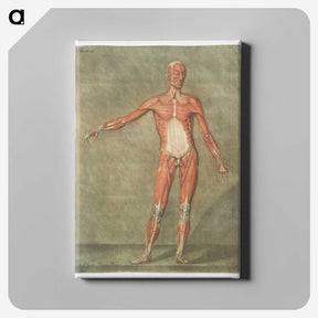 1-5_Arnauld-Eloi-Gautier-Dagoty_canvas