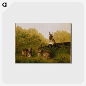 1-5_Arthur-Fitzwilliam-Tait_postcard