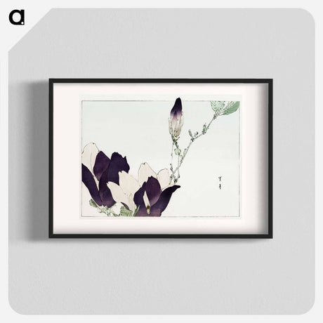 アートポスター-Purple Magnolia
 - 美術世界 Poster.