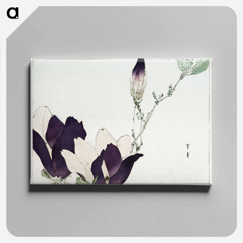 Purple Magnolia
 - 美術世界 Canvas.