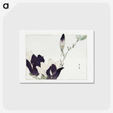1-5_Bijutsu-Sekai_hagaki
