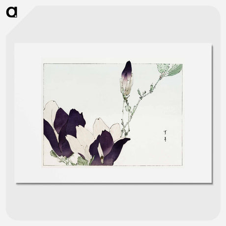 アートポスター-Purple Magnolia
 - 美術世界 Poster.