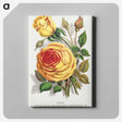 1-5_Botanical-Specimen-Plates_canvas