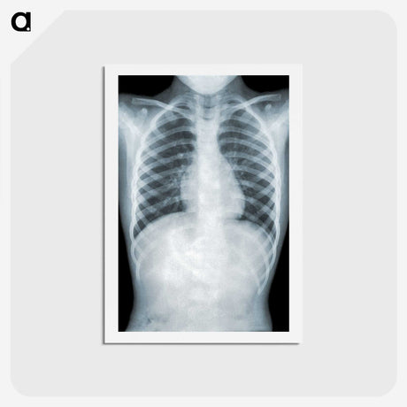 1-5_COVID-19_hagaki