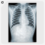 1-5_COVID-19_picture-crop