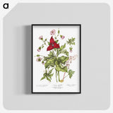 1-5_Canadian-Wild-Flowers_blk-crop