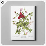1-5_Canadian-Wild-Flowers_canvas