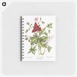 1-5_Canadian-Wild-Flowers_memo