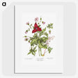1-5_Canadian-Wild-Flowers_picture