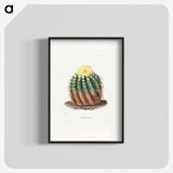 1-5_Charles-Antoine-Lemaire_blk