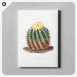 1-5_Charles-Antoine-Lemaire_canvas