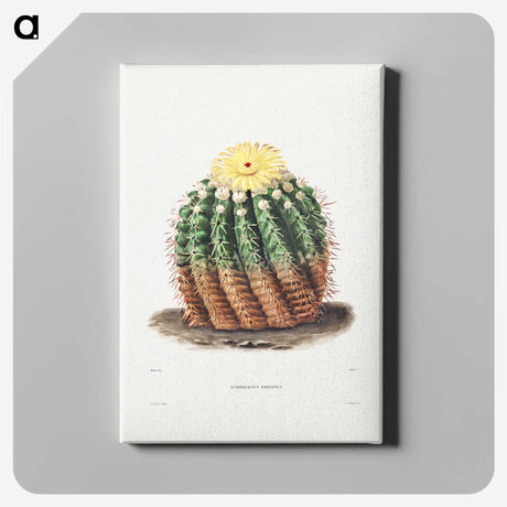 1-5_Charles-Antoine-Lemaire_canvas