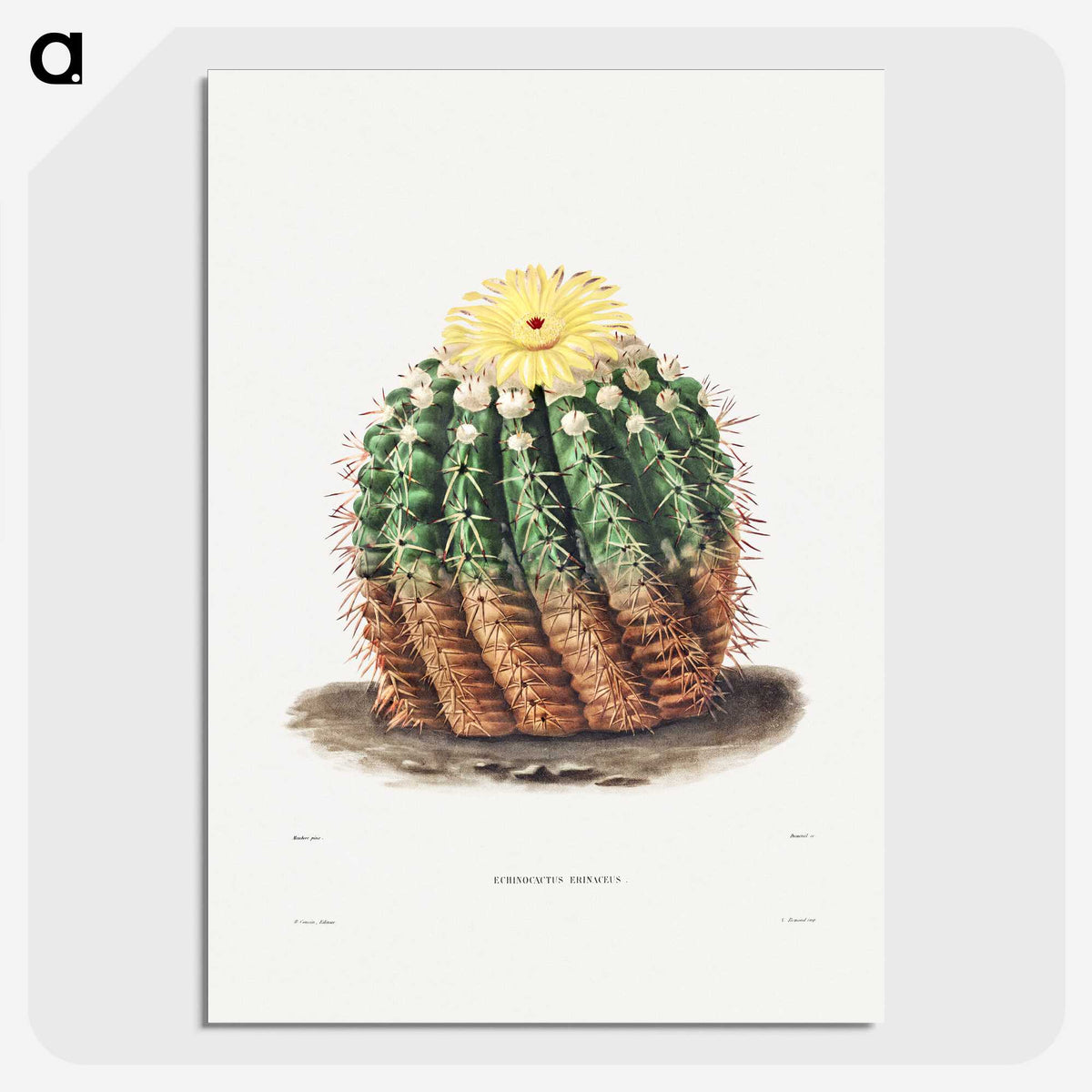 1-5_Charles-Antoine-Lemaire_picture-crop