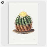 1-5_Charles-Antoine-Lemaire_picture-crop