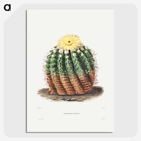 1-5_Charles-Antoine-Lemaire_picture-crop