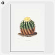 1-5_Charles-Antoine-Lemaire_picture