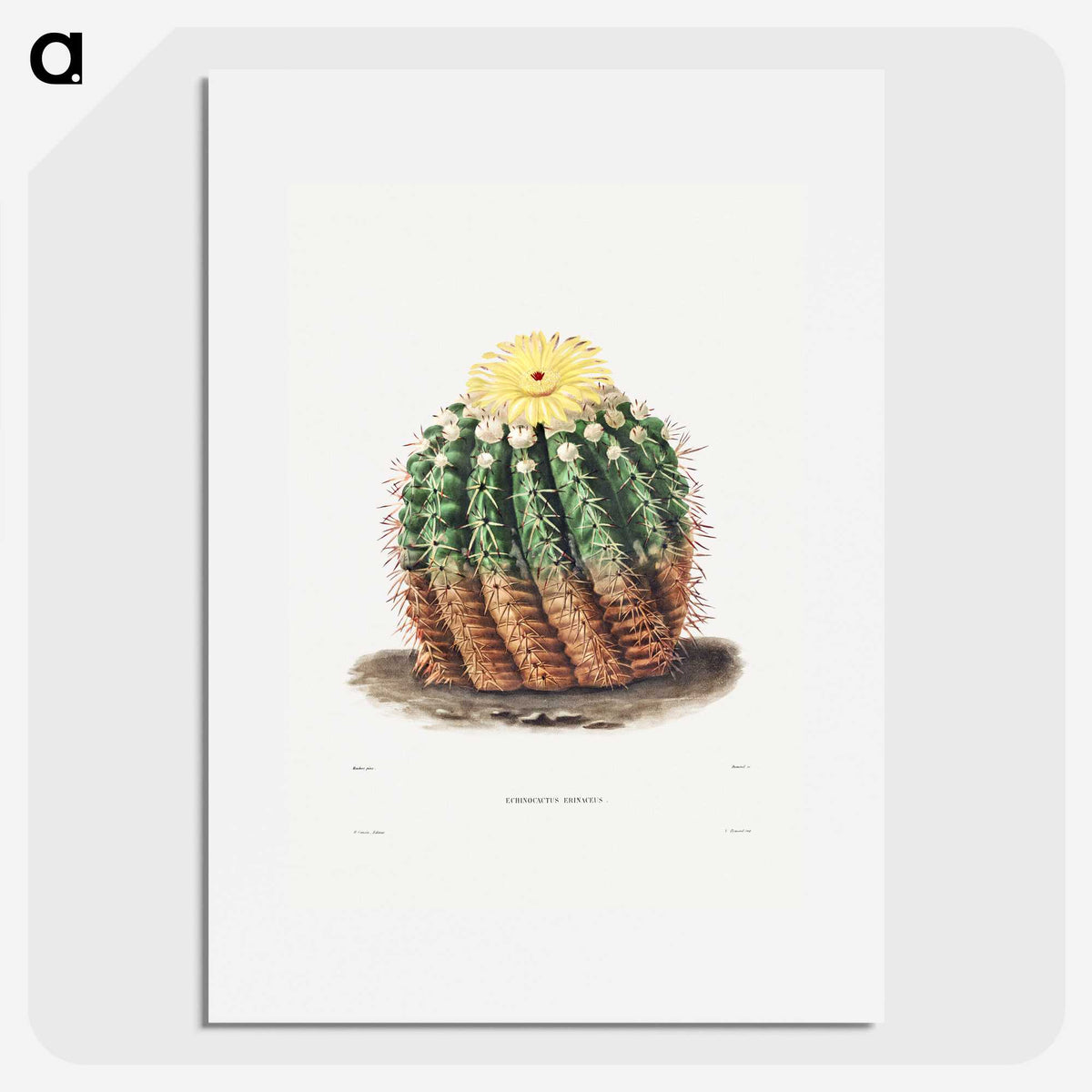 1-5_Charles-Antoine-Lemaire_picture