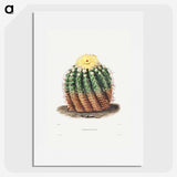 1-5_Charles-Antoine-Lemaire_picture