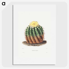 1-5_Charles-Antoine-Lemaire_picture