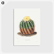 1-5_Charles-Antoine-Lemaire_postcard