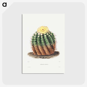 1-5_Charles-Antoine-Lemaire_postcard